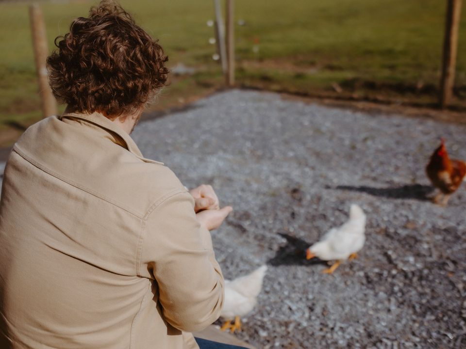 Story image 2
